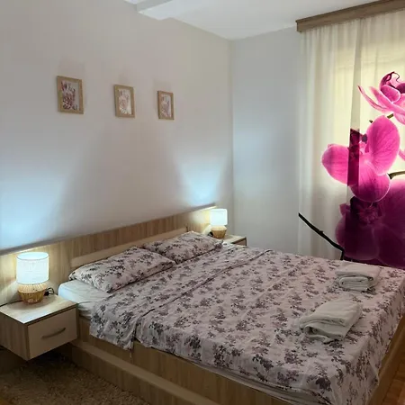 Apartman6 Zivkovic *